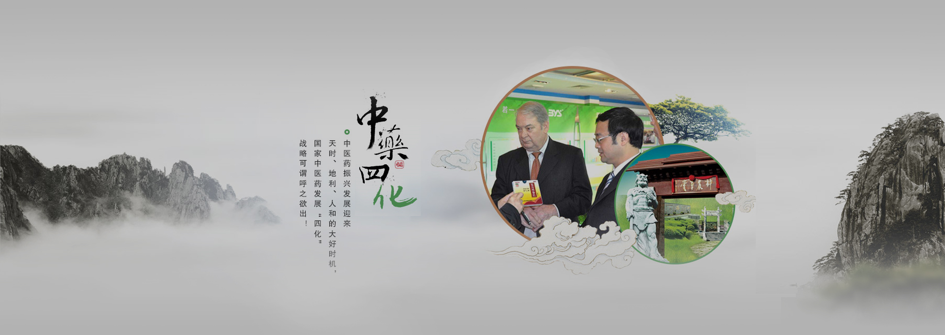 玉州建站-若一医药科技
