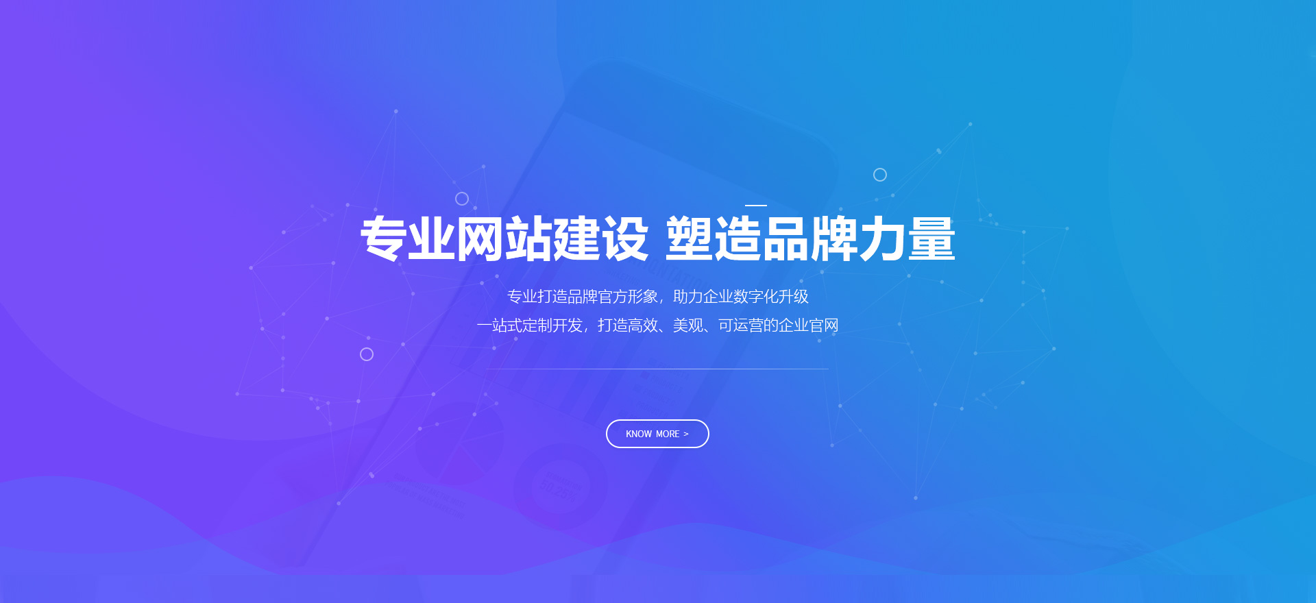 玉林建站-专业网站建设 塑造品牌力量