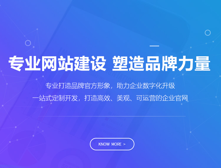 玉林建站-专业网站建设 塑造品牌力量